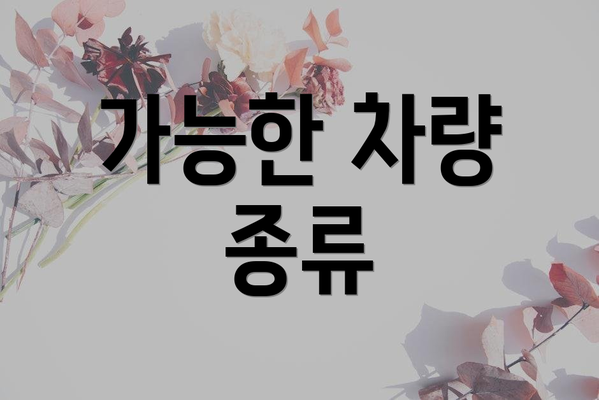 가능한 차량 종류