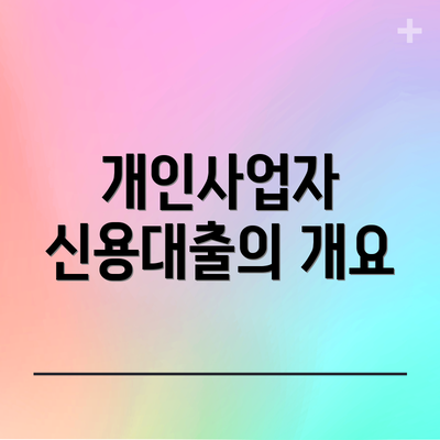개인사업자 신용대출의 개요