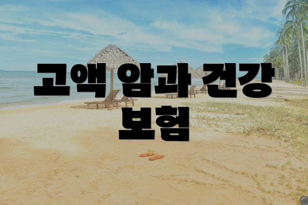 고액 암과 건강 보험