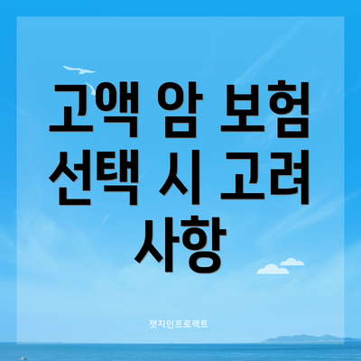 고액 암 보험 선택 시 고려 사항
