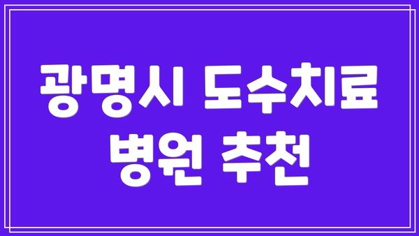 광명시 도수치료 병원 추천