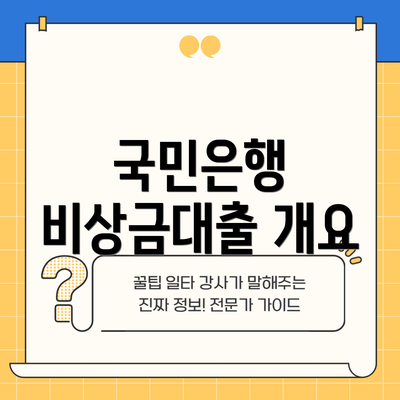 국민은행 비상금대출 개요