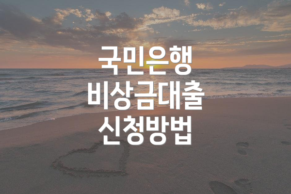 국민은행 비상금대출 신청방법