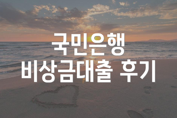 국민은행 비상금대출 후기