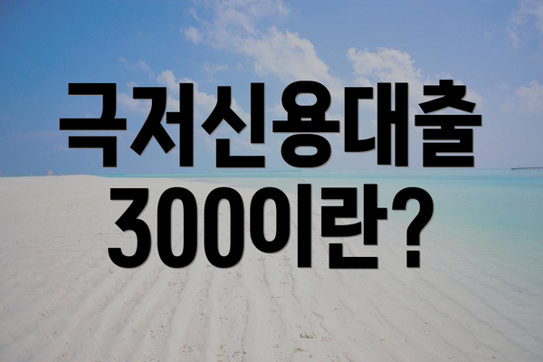 극저신용대출 300이란?
