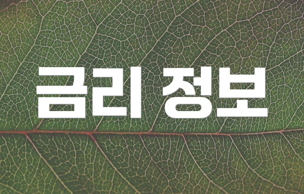 금리 정보