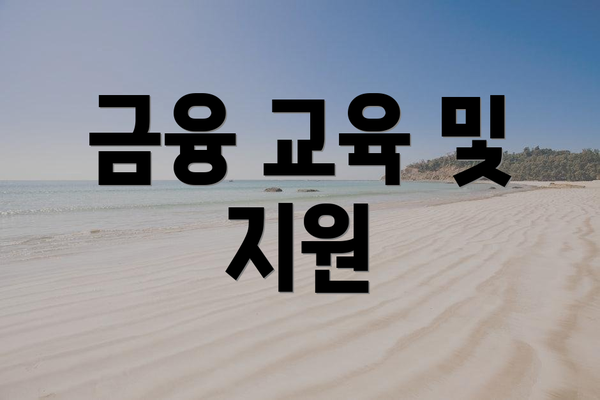 금융 교육 및 지원