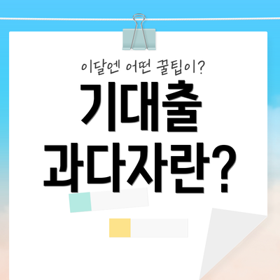 기대출 과다자란?