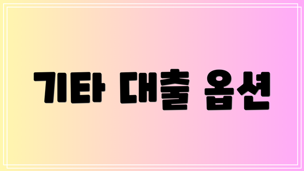 기타 대출 옵션