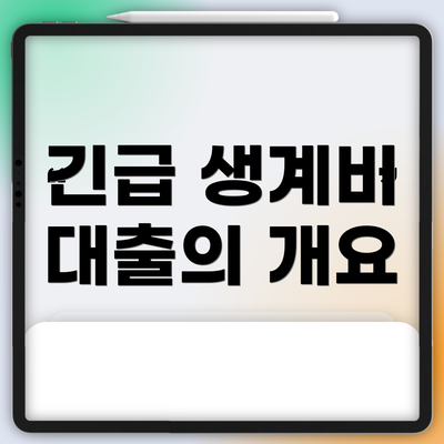 긴급 생계비 대출의 개요