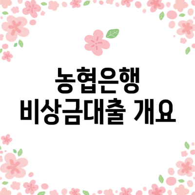 농협은행 비상금대출 개요