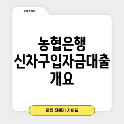 농협은행 신차구입자금대출 개요