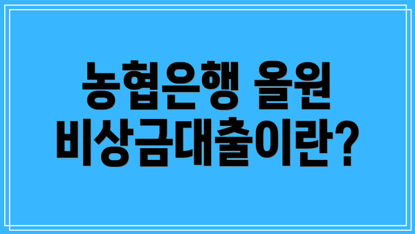 농협은행 올원 비상금대출이란?