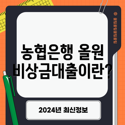 농협은행 올원 비상금대출이란?