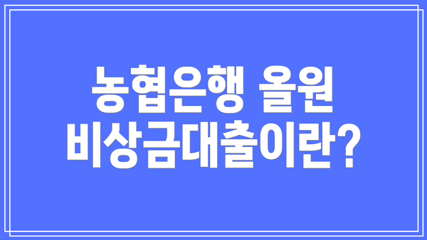 농협은행 올원 비상금대출이란?