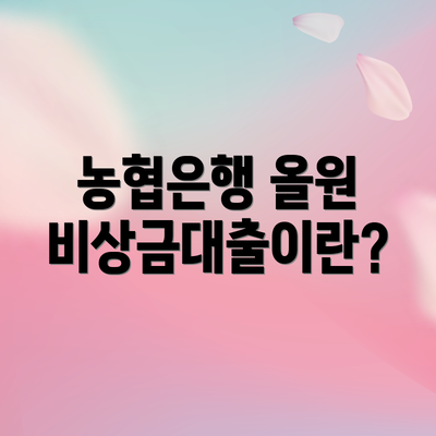 농협은행 올원 비상금대출이란?