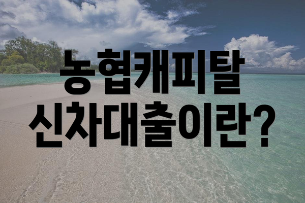 농협캐피탈 신차대출이란?