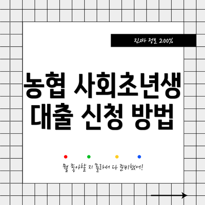 농협 사회초년생 대출 신청 방법