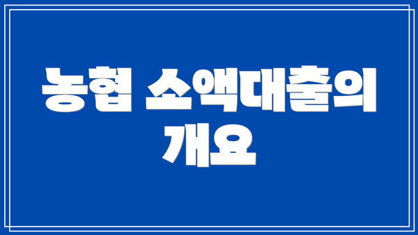 농협 소액대출의 개요