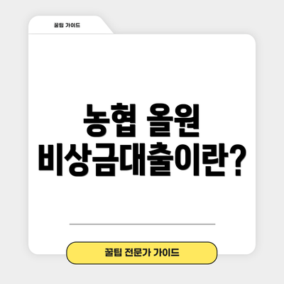 농협 올원 비상금대출이란?