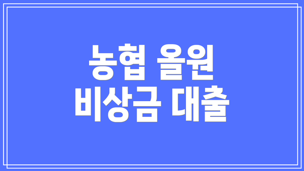 농협 올원 비상금 대출