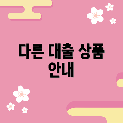 다른 대출 상품 안내