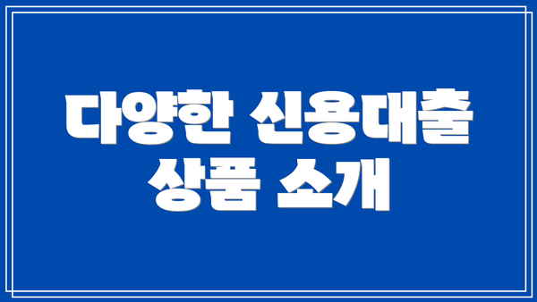 다양한 신용대출 상품 소개