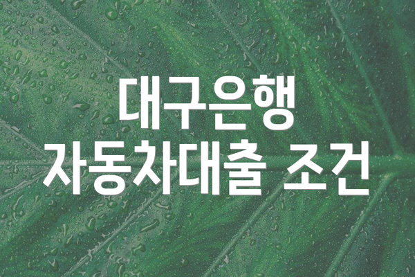 대구은행 자동차대출 조건