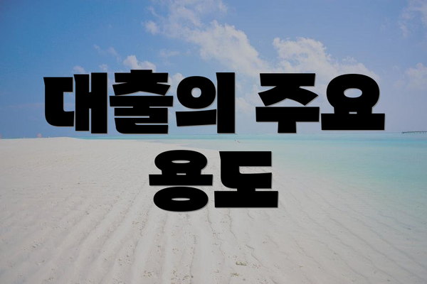 대출의 주요 용도
