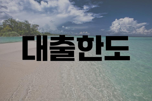 대출한도