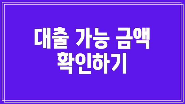 대출 가능 금액 확인하기