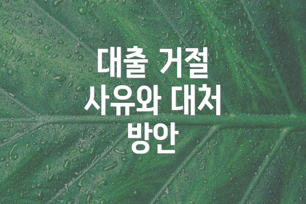 대출 거절 사유와 대처 방안
