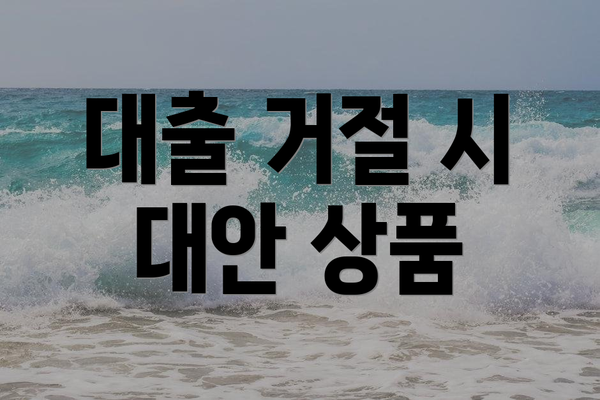 대출 거절 시 대안 상품