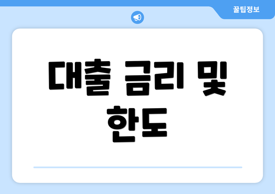 대출 금리 및 한도