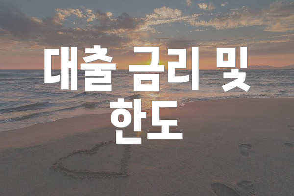 대출 금리 및 한도