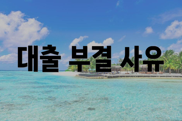 대출 부결 사유