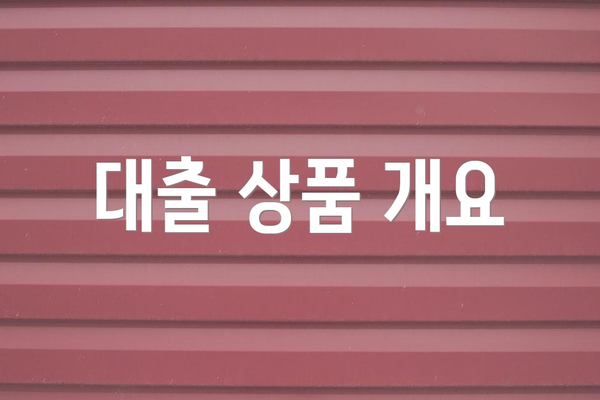 대출 상품 개요