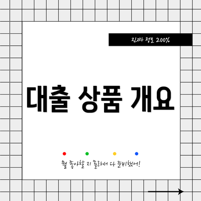 대출 상품 개요