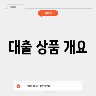 대출 상품 개요
