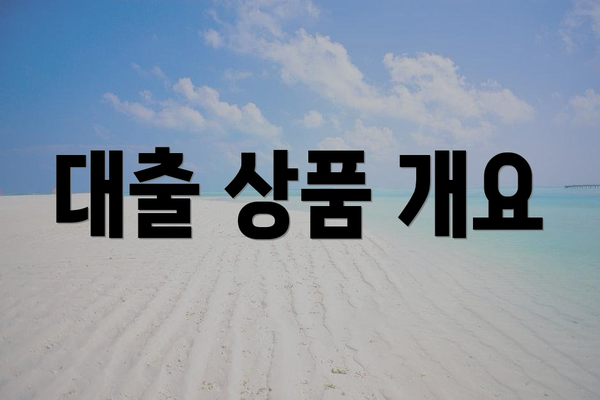 대출 상품 개요