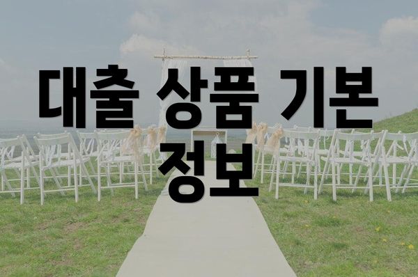 대출 상품 기본 정보