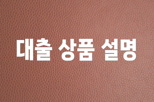 대출 상품 설명
