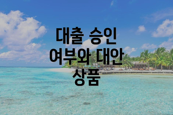 대출 승인 여부와 대안 상품