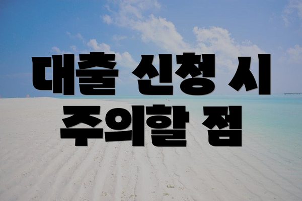 대출 신청 시 주의할 점