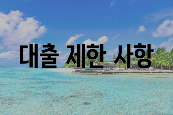 대출 제한 사항