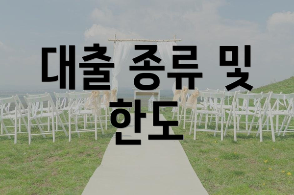 대출 종류 및 한도