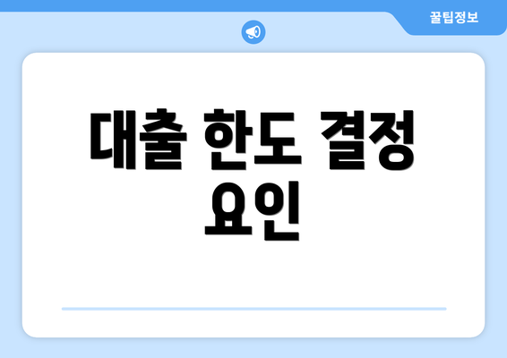 대출 한도 결정 요인