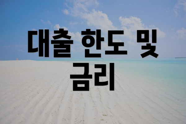 대출 한도 및 금리