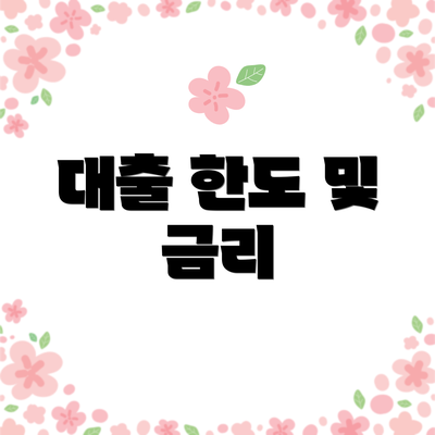 대출 한도 및 금리