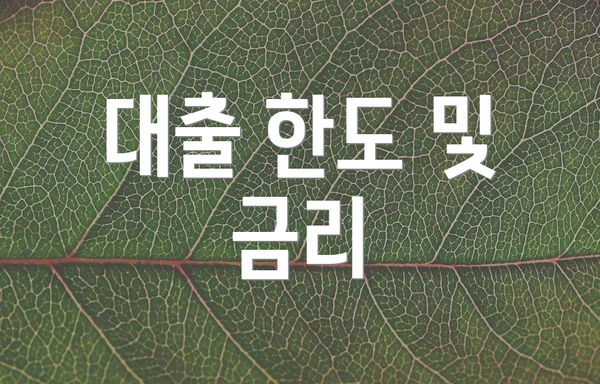 대출 한도 및 금리